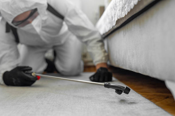 Professional Bed Bug Control technician working in Livingston County County, KY